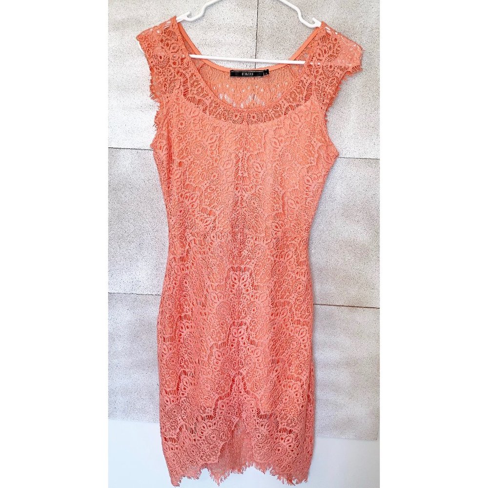 Anthropologie Lace Asymmetrical Bodycon Dress